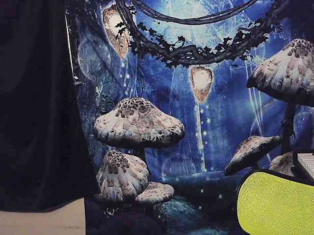 stormythunder webcam