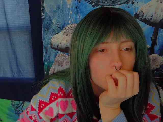 stormythunder webcam