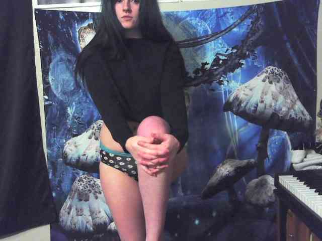 stormythunder webcam