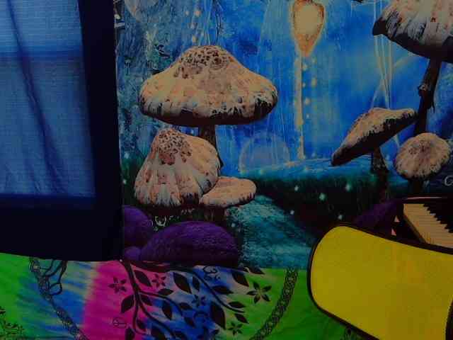 stormythunder webcam