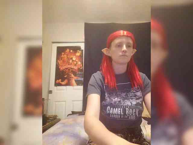 stormythunder webcam