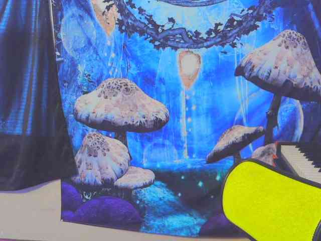 stormythunder stormythunder