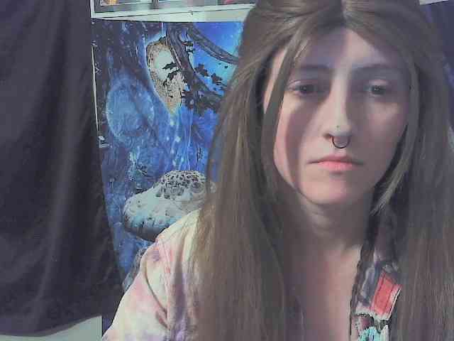 stormythunder webcam