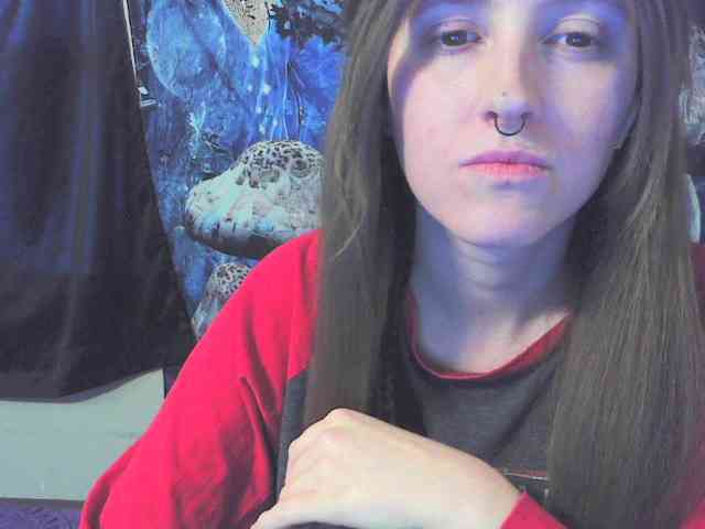 stormythunder webcam