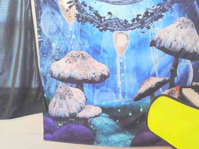 stormythunder webcam