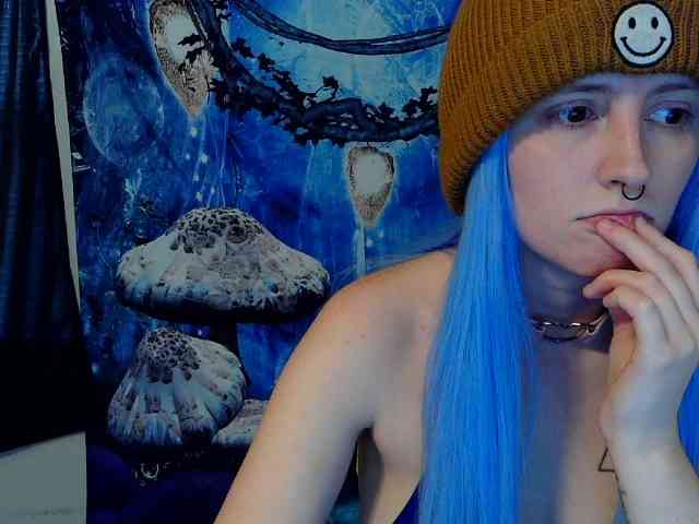 stormythunder webcam