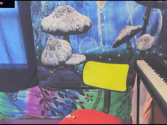 stormythunder webcam