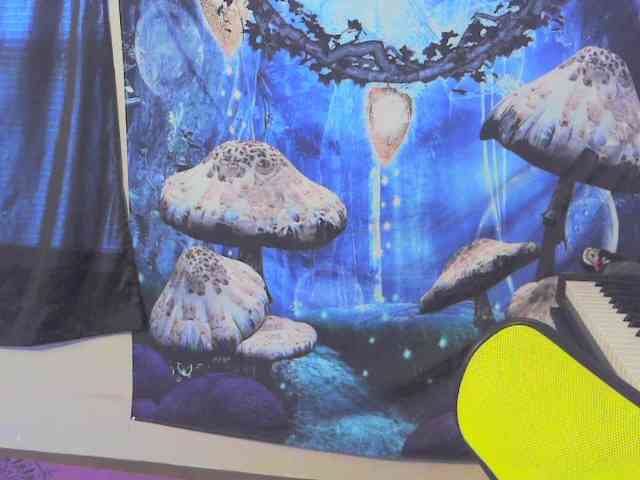 stormythunder webcam