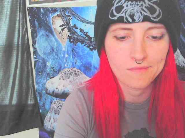 stormythunder webcam