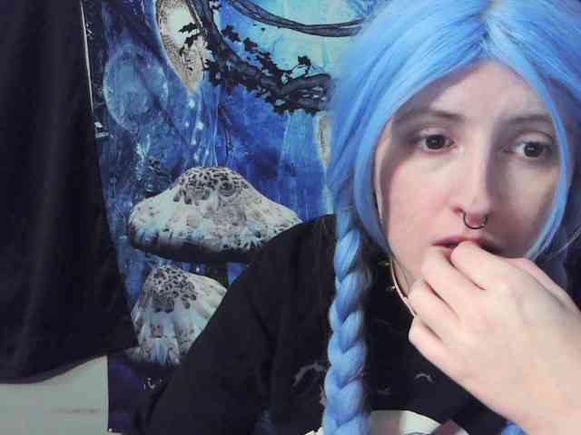 stormythunder webcam