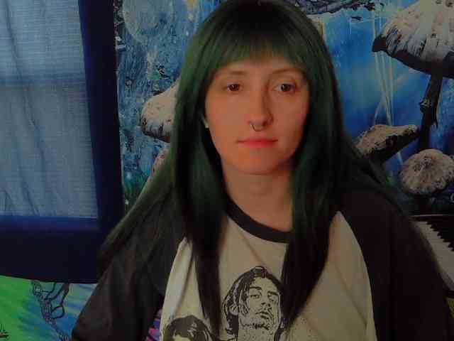 stormythunder webcam