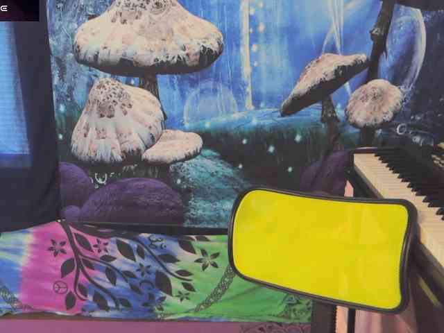 stormythunder webcam