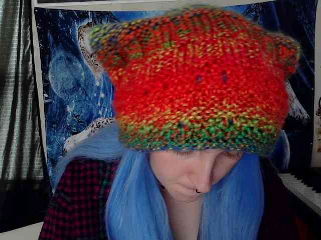 stormythunder webcam