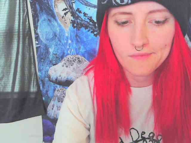 stormythunder webcam