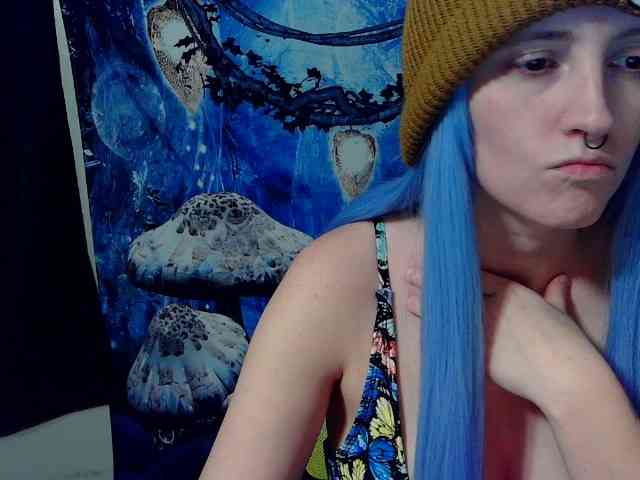 stormythunder webcam