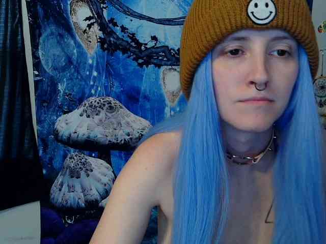 stormythunder webcam