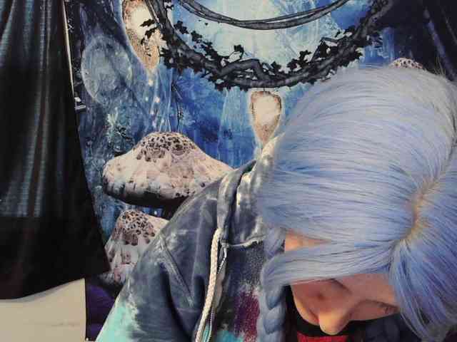 stormythunder webcam