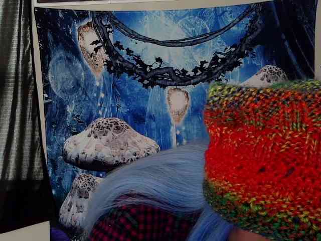 stormythunder webcam