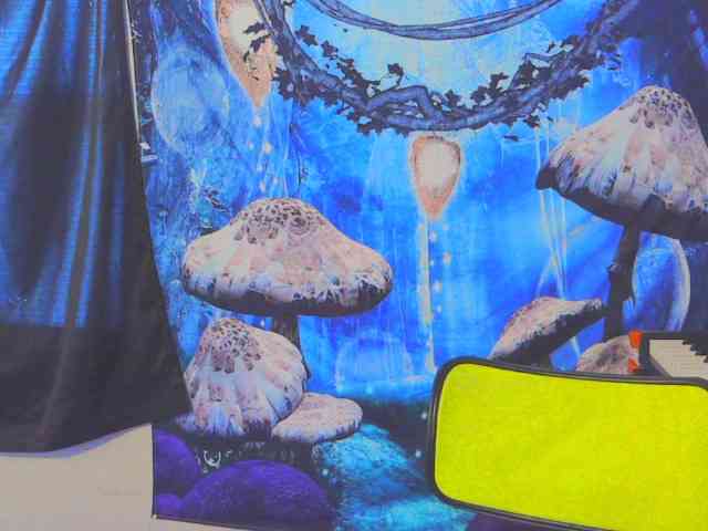 stormythunder webcam