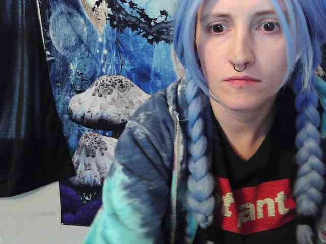 stormythunder webcam