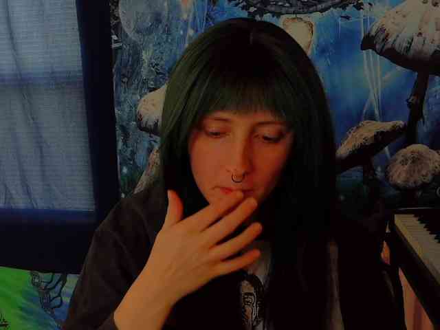 stormythunder webcam