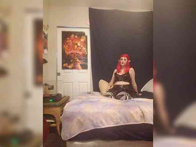 stormythunder webcam