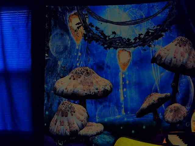 stormythunder webcam