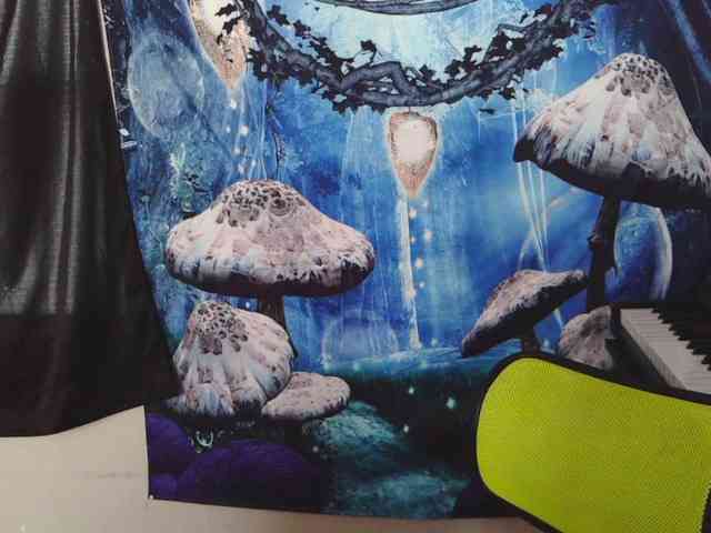 stormythunder webcam