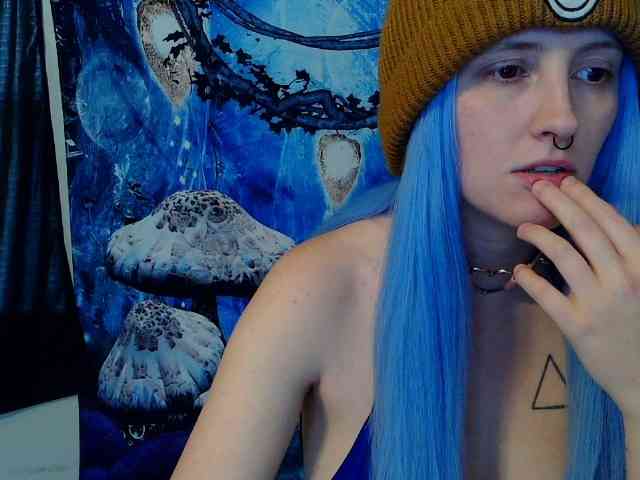 stormythunder webcam