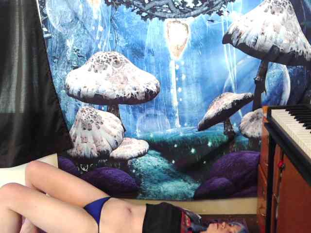 stormythunder webcam