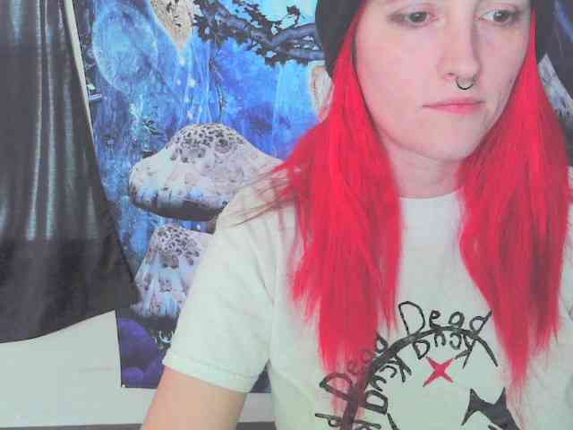 stormythunder webcam