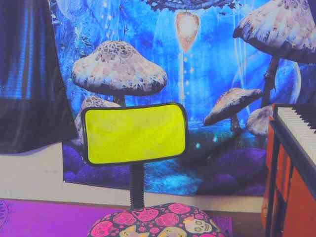 stormythunder webcam