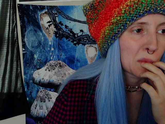 stormythunder webcam