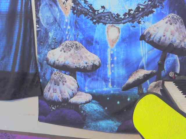 stormythunder webcam