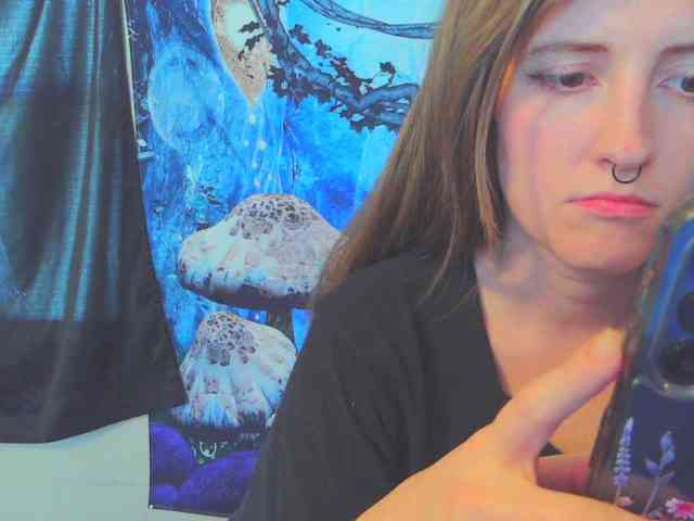 stormythunder webcam