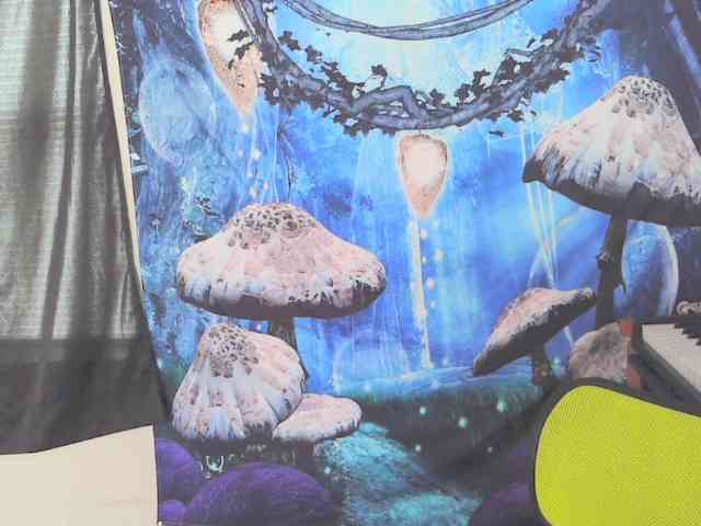 stormythunder webcam