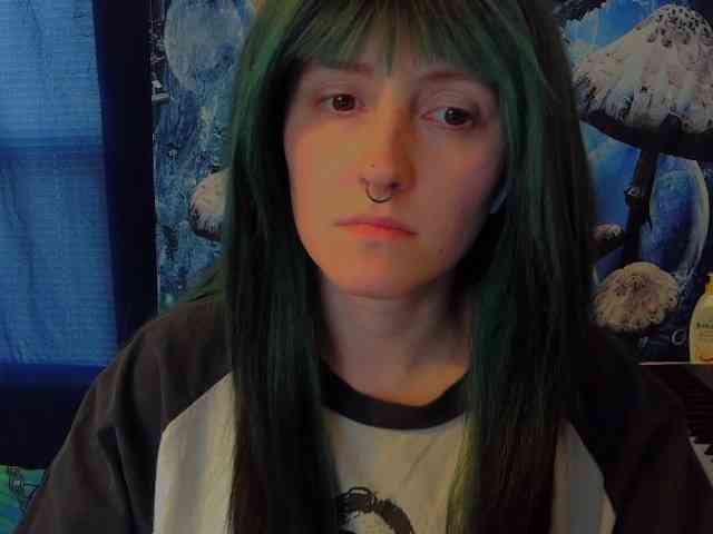 stormythunder webcam