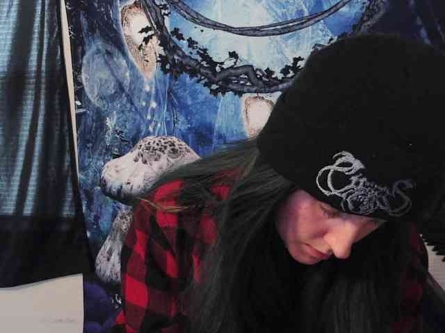 stormythunder webcam