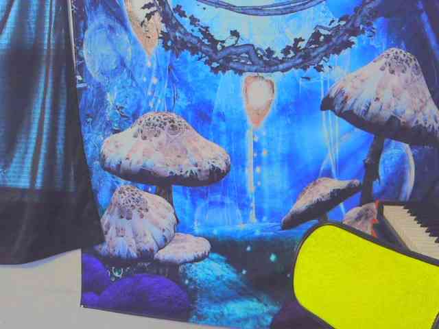 stormythunder webcam