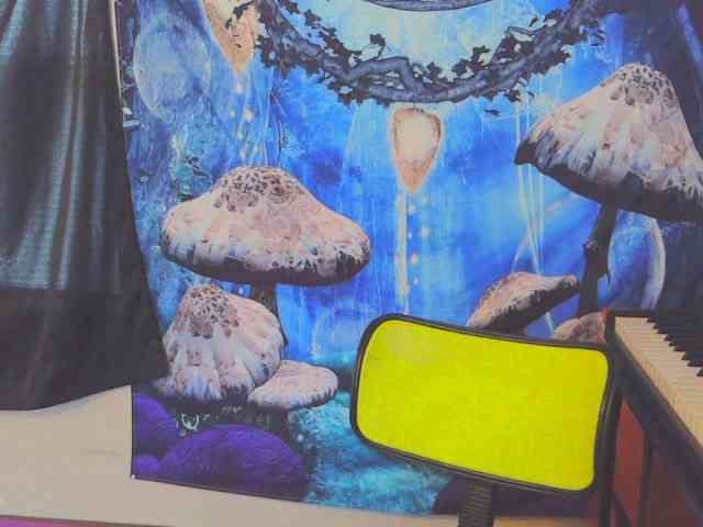 stormythunder webcam