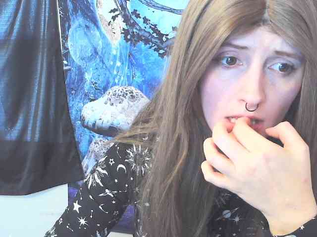 stormythunder webcam