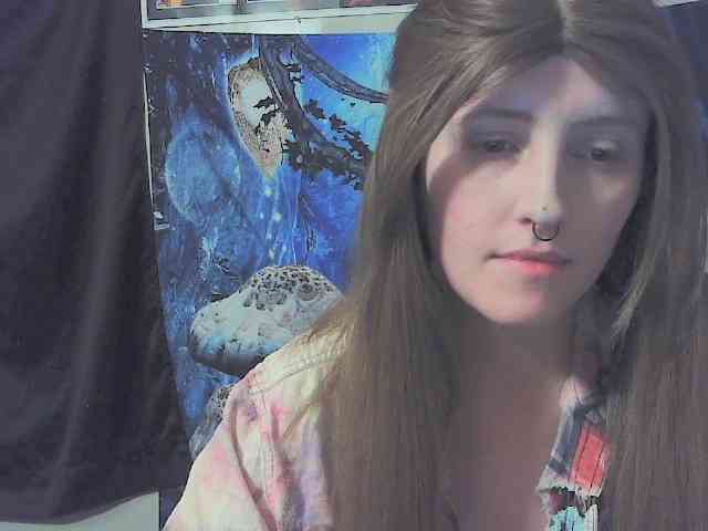 stormythunder webcam