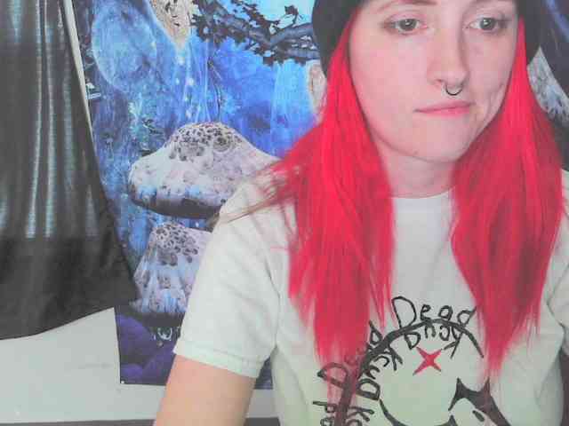 stormythunder webcam