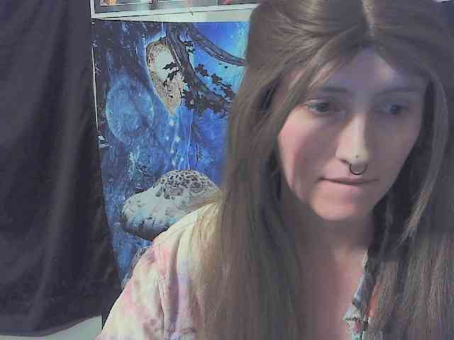 stormythunder webcam