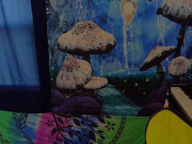 stormythunder webcam