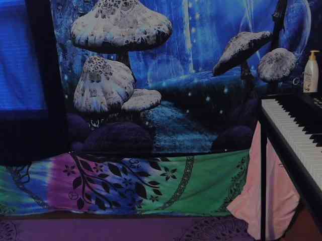 stormythunder webcam