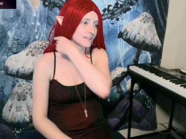 stormythunder webcam