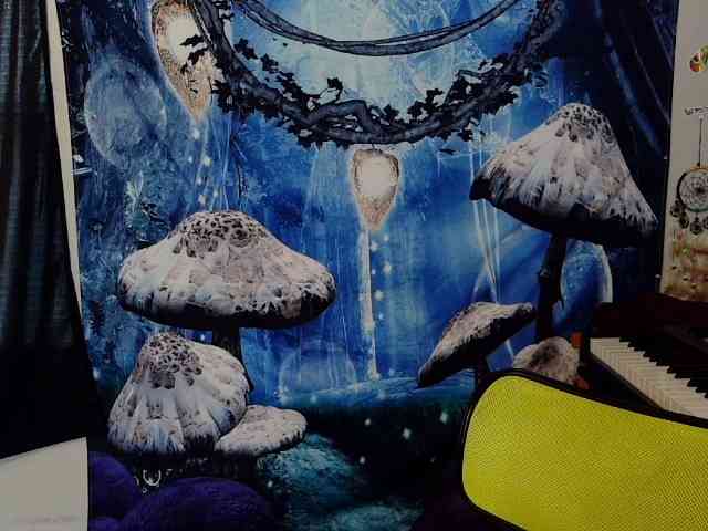 stormythunder webcam