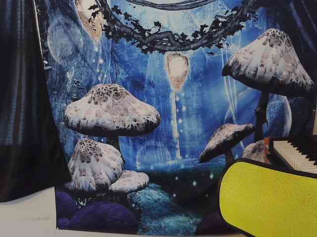 stormythunder webcam