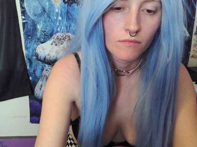 stormythunder webcam